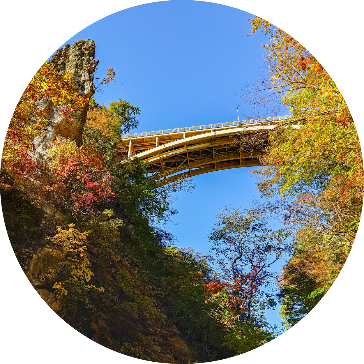 ＼ICが近いだけじゃない?!／各観光施設にもアクセス抜群♪